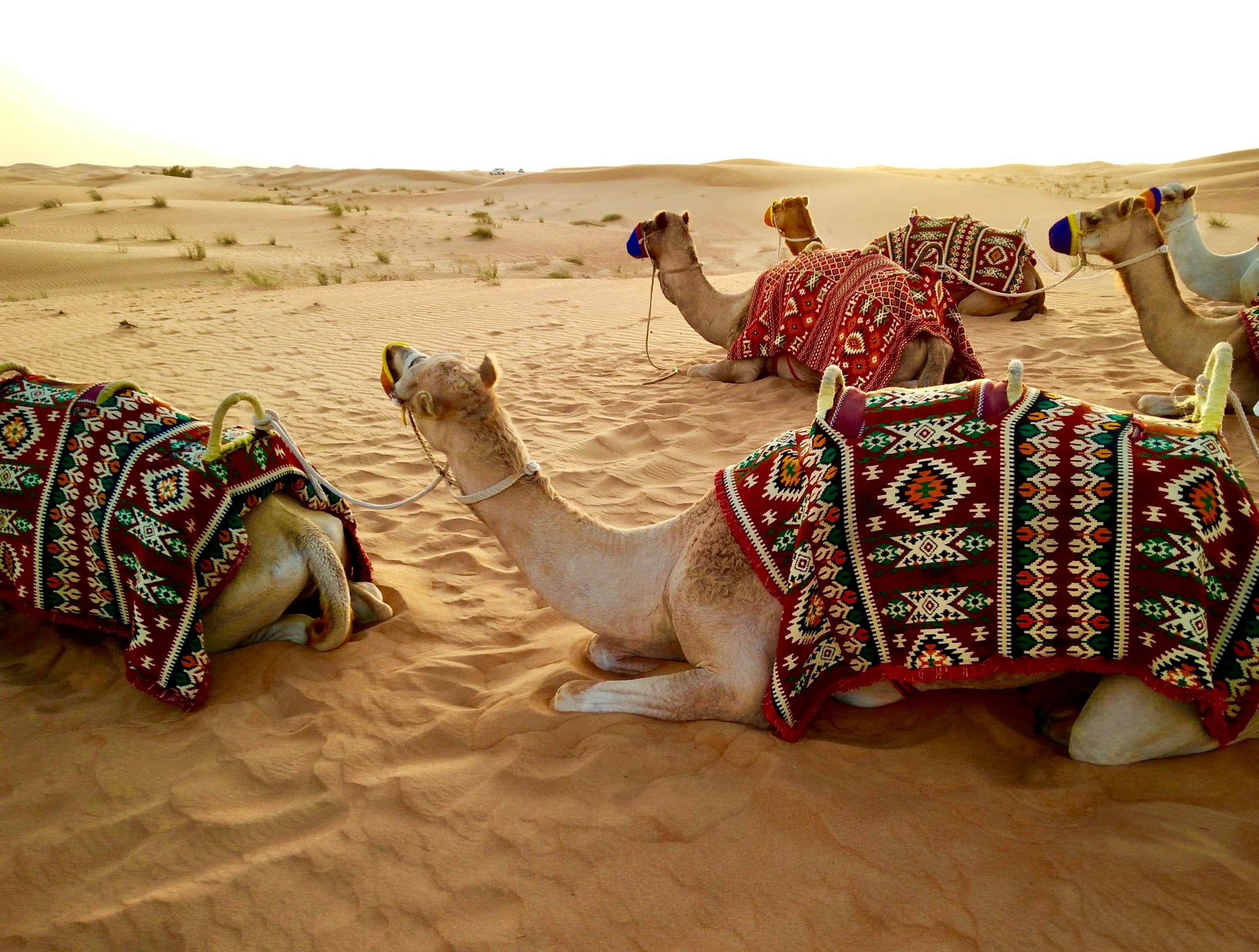 Dubai – Abu Dhabi 5 Days 4 Nights, 4