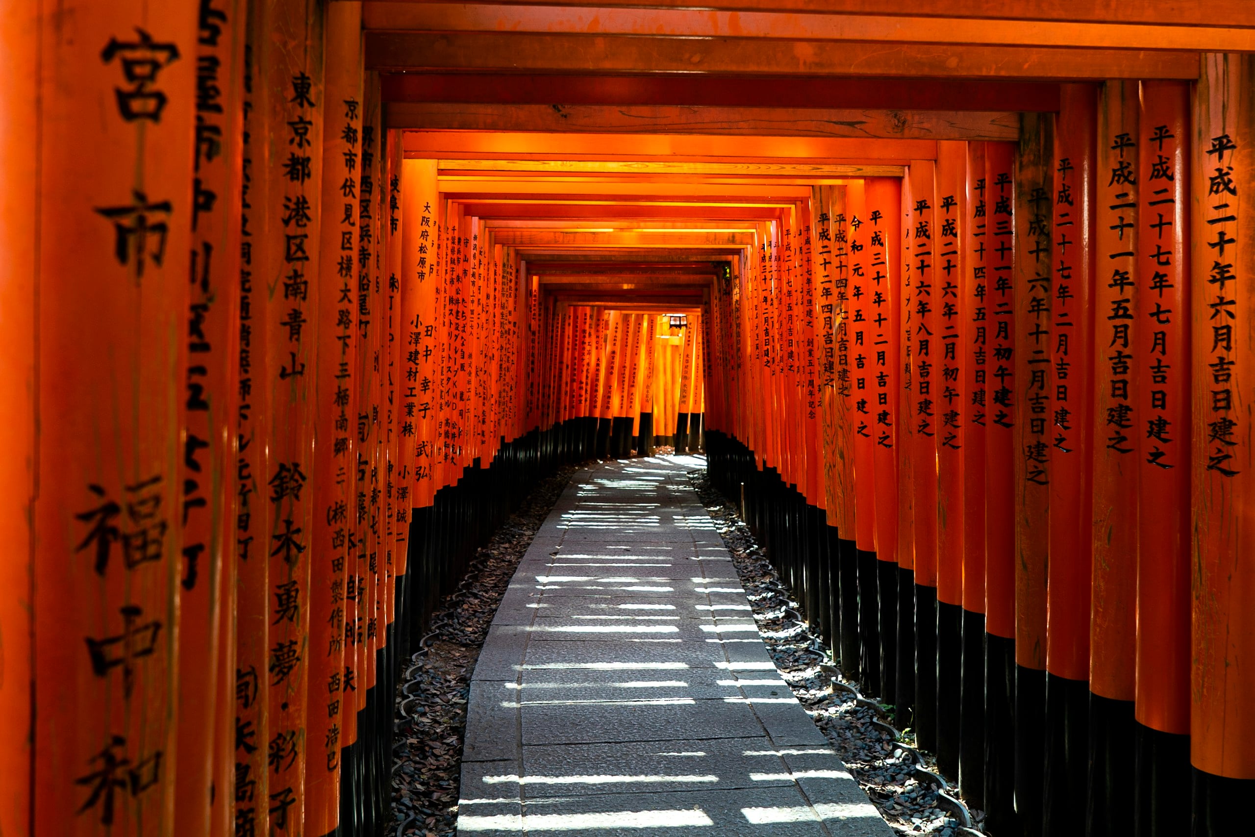 The torii corridor at Fushimi Inari, Kyoto