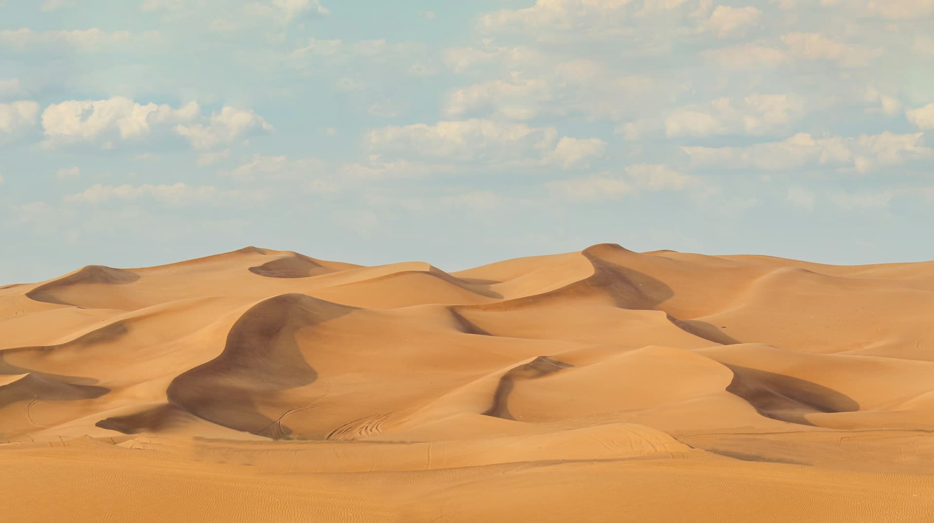 Dune bashing di gurun Dubai